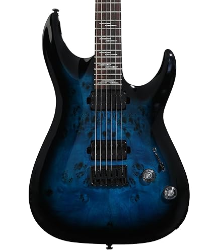 Amazon.com: Schecter Damien Platinum 6 SBK - Satin Black : Musical